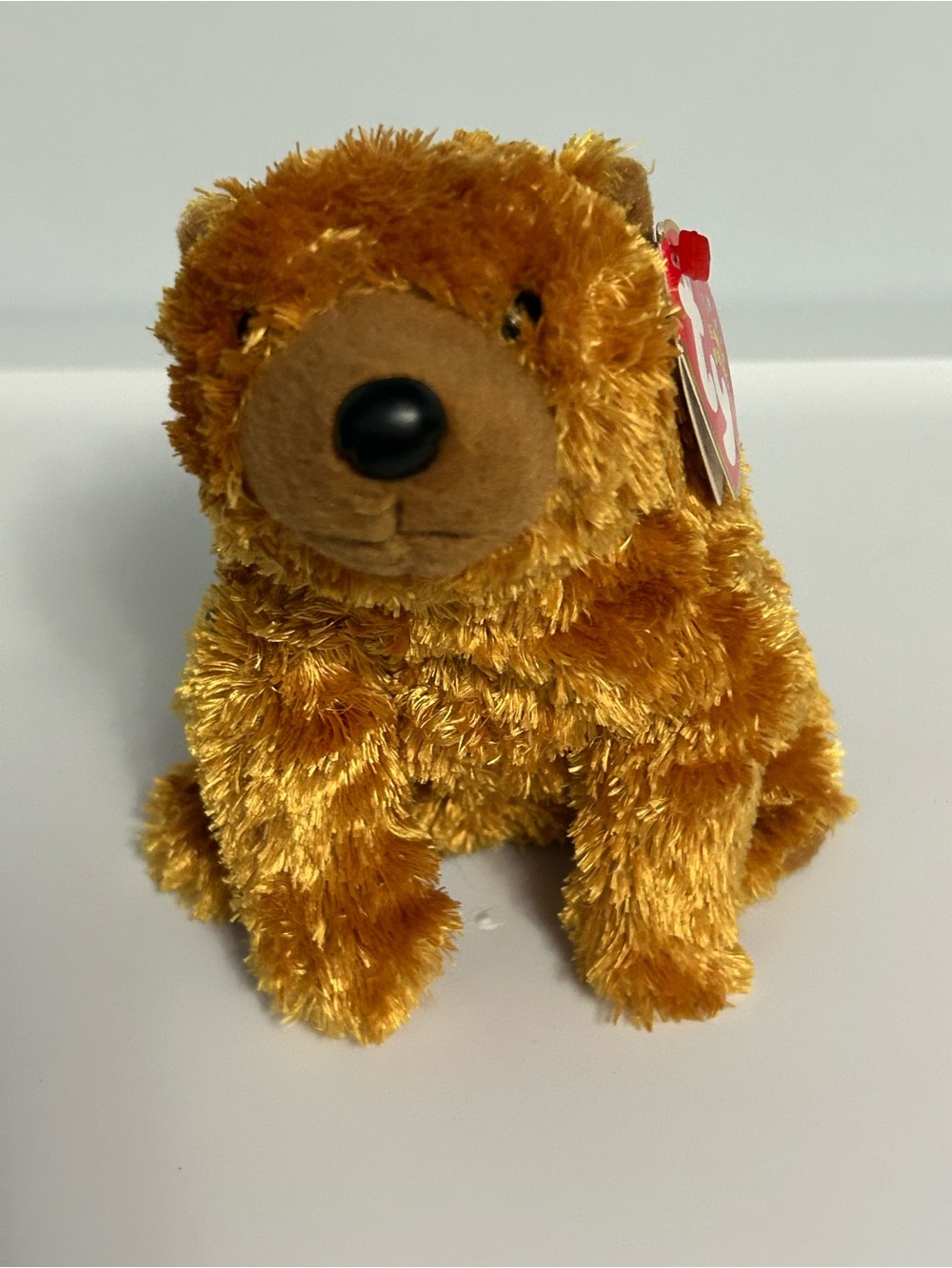 Ty Beanie Plush Brown Bear Sequoia Stuffed Toy - Soft Kids Plush